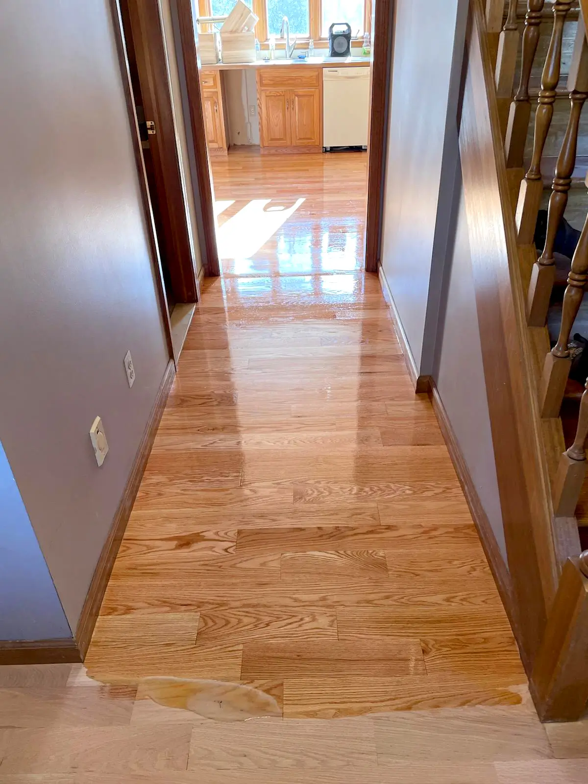 Red Oak | Oil-based Polyurethane